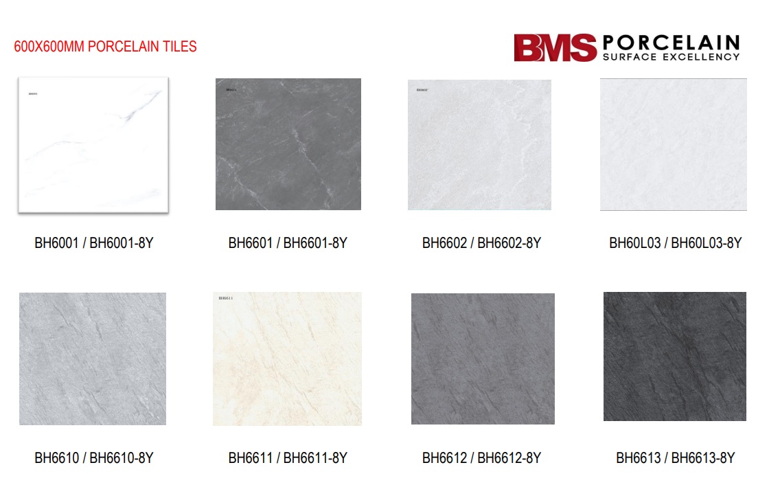 17564095514656uhss_600x600mm_bms_porcelain_tiles.jpg